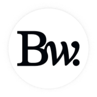 BridgeWise logo