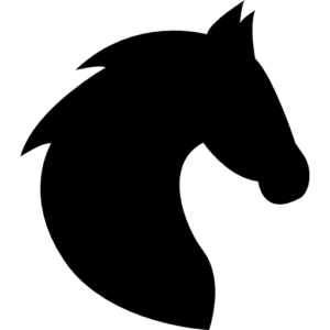 Carriage Models logo