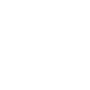 Financial AI logo